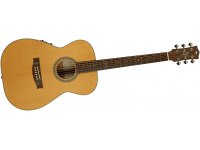 Maton Master Built T.E. Personal