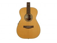 Maton Master Built T.E. Personal