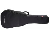 Ovation Deep Bowl/Mid-Depth + 12 String Gig Bag