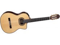 Takamine DH90 Hirade