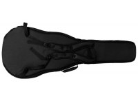 Takamine Dreadnought/NEX Deluxe Gig Bag