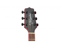 Takamine GF49CE - CB