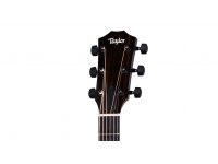 Taylor 214ce-BLK Plus