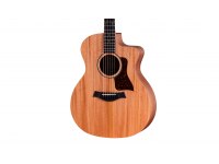 Taylor 24ce