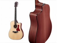 Taylor 310ce