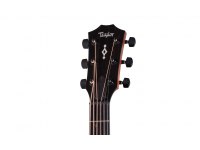 Taylor 324ce Next Generation