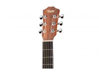 Taylor Baby BT2