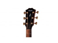 Taylor Builder's Edition 814ce Indian Rosewood / Adirondack Blacktop Next Generation