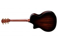 Taylor Builder's Edition 814ce Indian Rosewood / Adirondack Next Generation