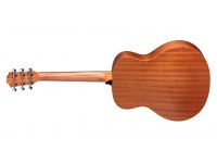 Taylor GS Mini ZEDD Telos Special Edition