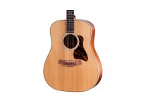 Taylor Gold Label 510e