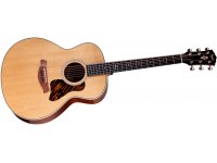 Taylor Gold Label 514e - NA