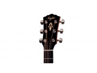 Taylor Gold Label 514e - NA