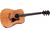 Taylor Gold Label 810e