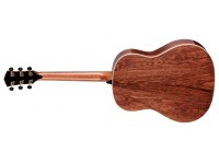 Taylor Gold Label 917e - NA