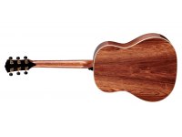 Taylor Gold Label 917e - SB