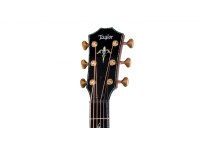Taylor PS14ce Figured Urban Ironbark / Redwood