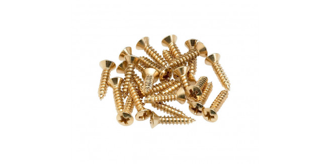Fender Pickguard/Control Plate Mounting Screws (24) - GH Fender Pickguard/Control Plate Mounting Screws (24) - GH