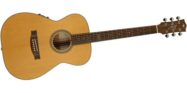 Maton Master Built T.E. Personal