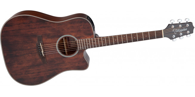 Takamine GD21CE - SM