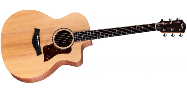 Taylor 14ce