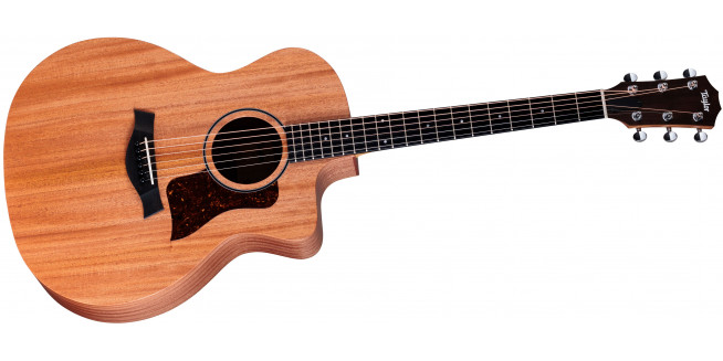 Taylor 24ce