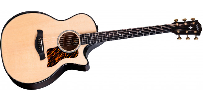 Taylor 50th Anniversary Builder's Edition 314ce - NA