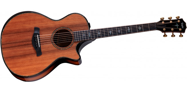 Taylor Builder's Edition 912ce Honduran Rosewood / Sinker Redwood