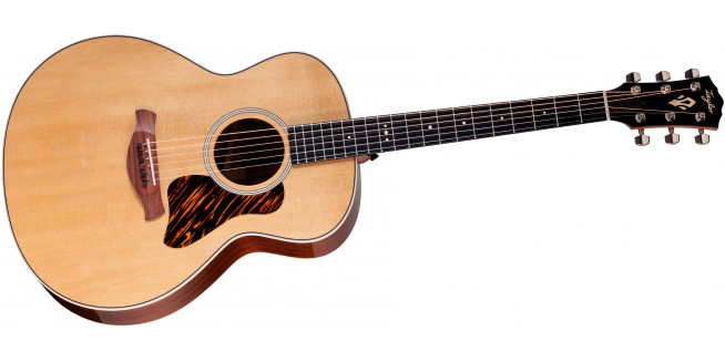 Taylor Gold Label 514e - NA