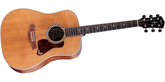Taylor Gold Label 810e