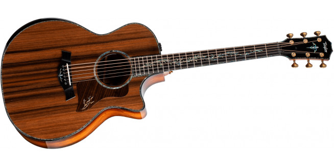 Taylor PS14ce Honduran Rosewood