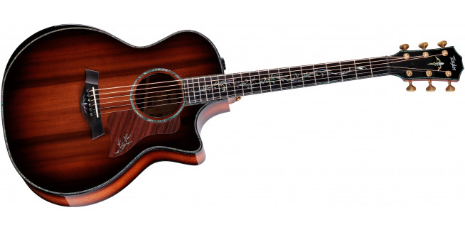 Taylor PS14ce Figured Urban Ironbark / Redwood