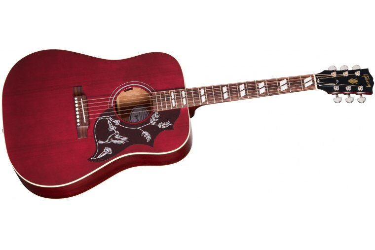 Gibson Hummingbird Special - WR