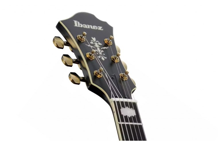 Ibanez PM3C-BKL Pat Metheny Signature