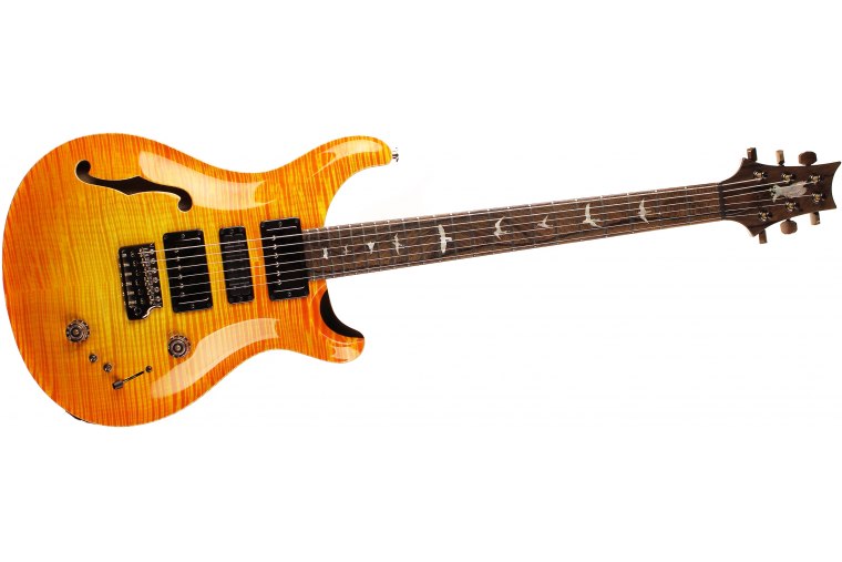 Paul Reed Smith Private Stock Special Semi-Hollow Limited Edition