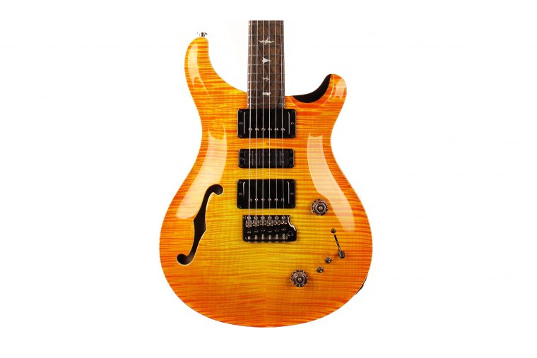 Paul Reed Smith Private Stock Special Semi-Hollow Limited Edition