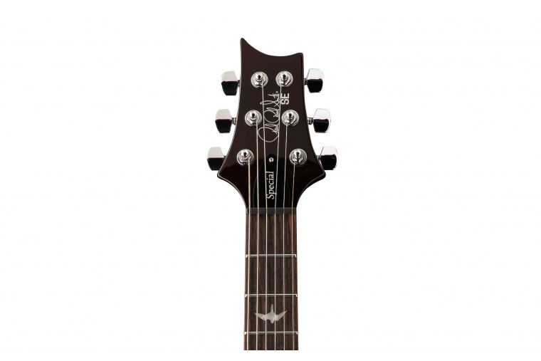Paul Reed Smith SE Special Semi-Hollow - OB