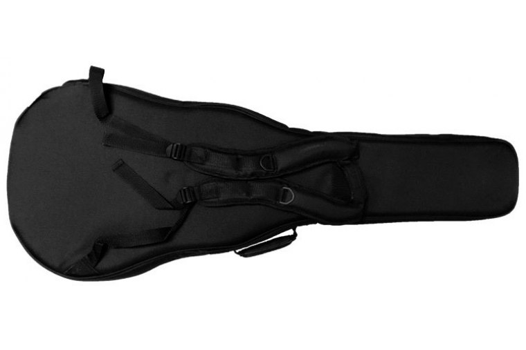 Takamine Dreadnought/NEX Deluxe Gig Bag