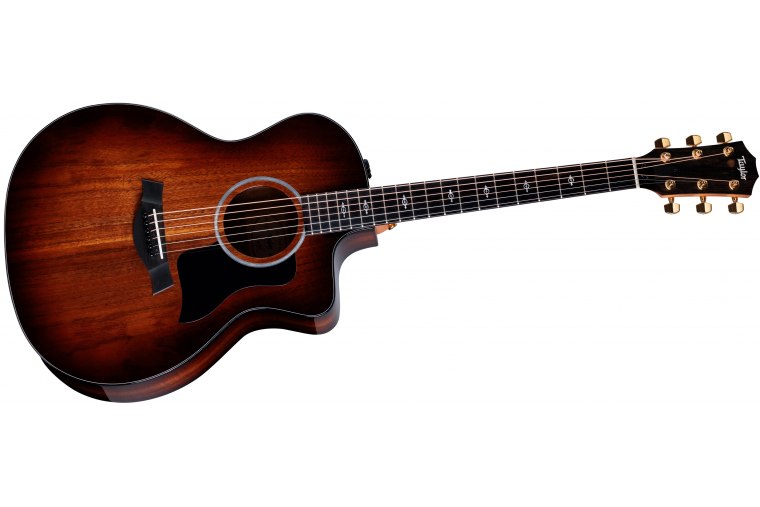 Taylor 224ce-K Deluxe