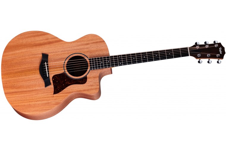 Taylor 24ce