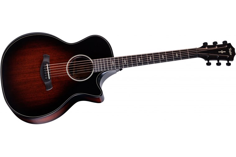 Taylor Builder's Edition 324ce Next Generation