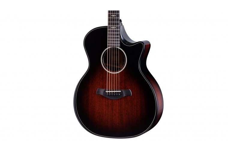 Taylor Builder's Edition 324ce Next Generation