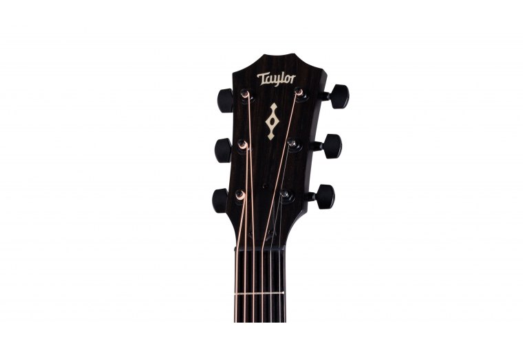 Taylor Builder's Edition 324ce Next Generation