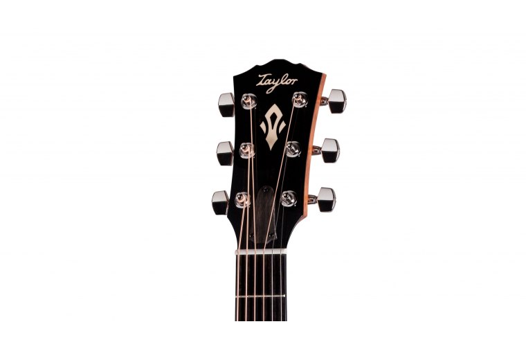 Taylor Gold Label 510e
