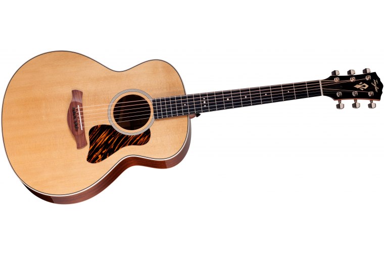 Taylor Gold Label 514e - NA