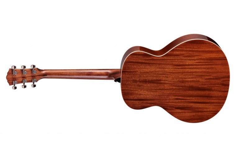 Taylor Gold Label 514e - NA