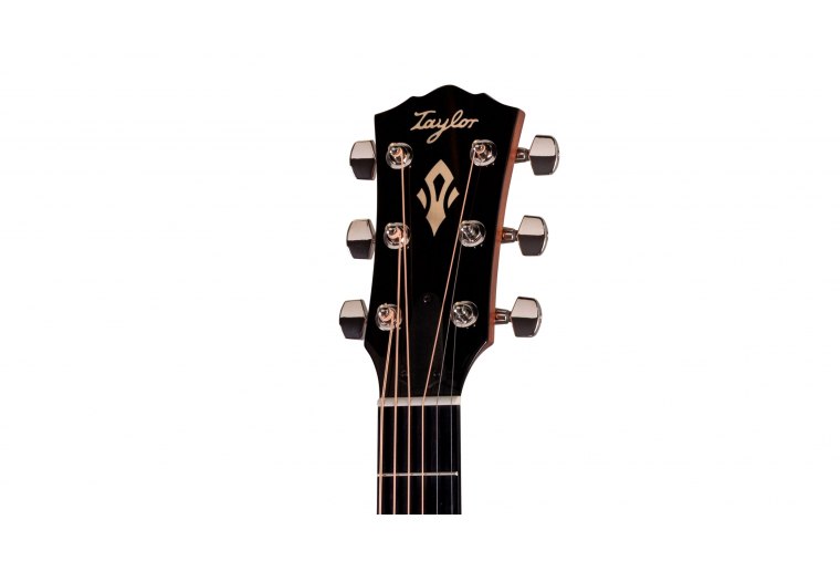 Taylor Gold Label 514e - NA