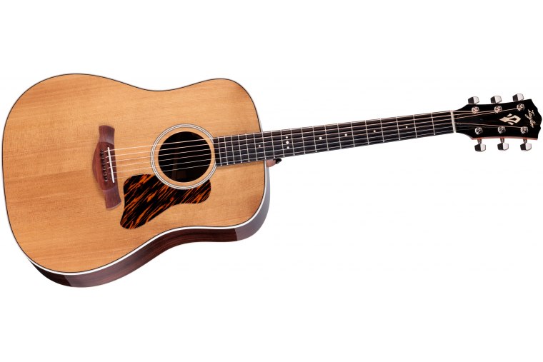 Taylor Gold Label 710e
