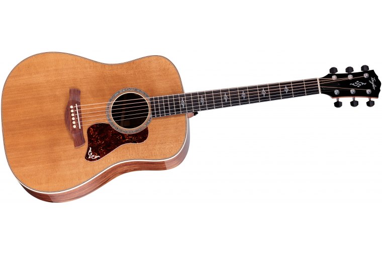 Taylor Gold Label 810e
