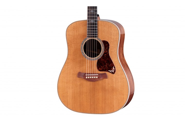 Taylor Gold Label 810e